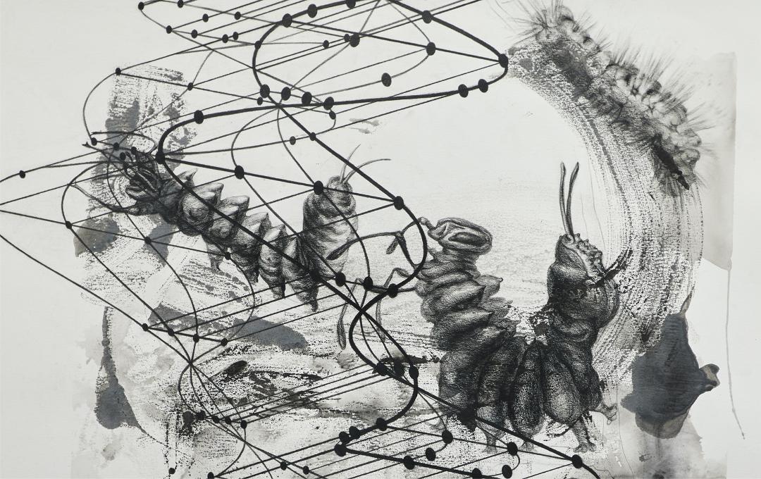 History and Consequence 2021 pencil and graphite powder on Bockingford 400g paper 152,4 x 121,9 cm